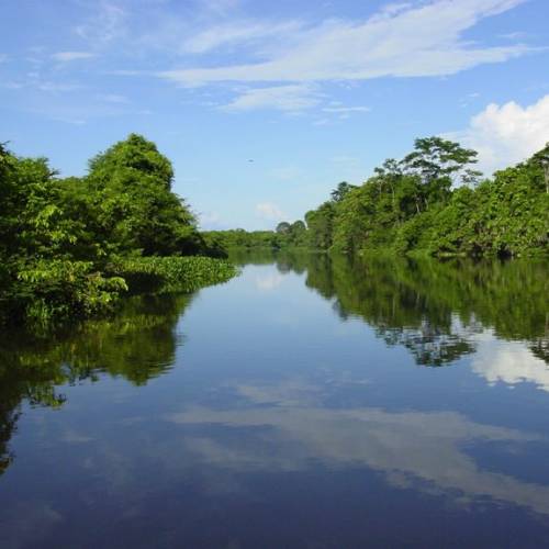 Refugio De Vida Silvestre Bocas De Polochic