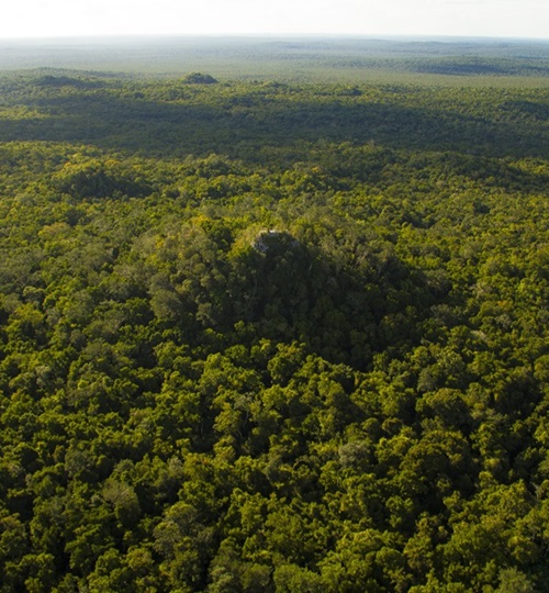 Parque Nacional Mirador Rio Azul / Biotopo Protegido Naachtún - Dos Lagunas