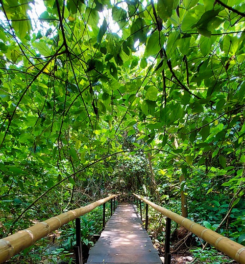 Reserva Natural Privada Erhcopark la Aventura
