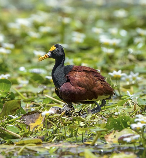 Parque Nacional Laguna del Pino