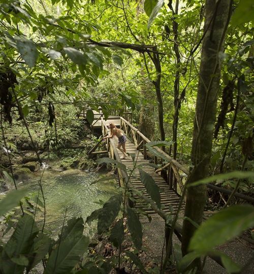 Reserva Protectora De Manantiales Cerro San Gil