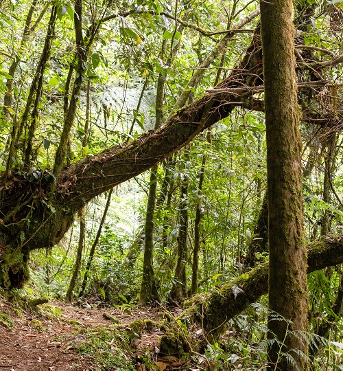Reserva Natural Privada Chelemha