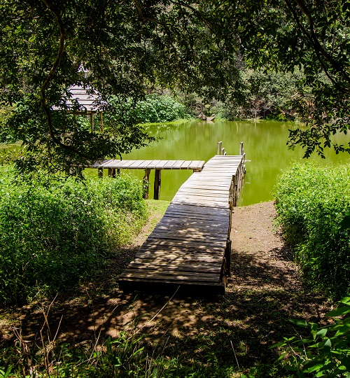Parques Nacional Las Victorias