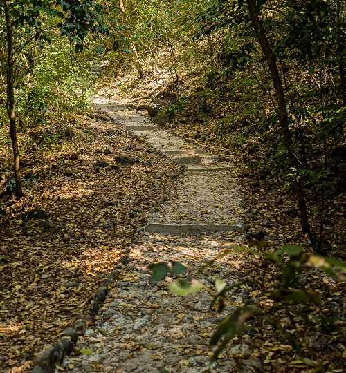 Parque Regional Municipal Bosque Yul Ha Saj Ha El Limonar