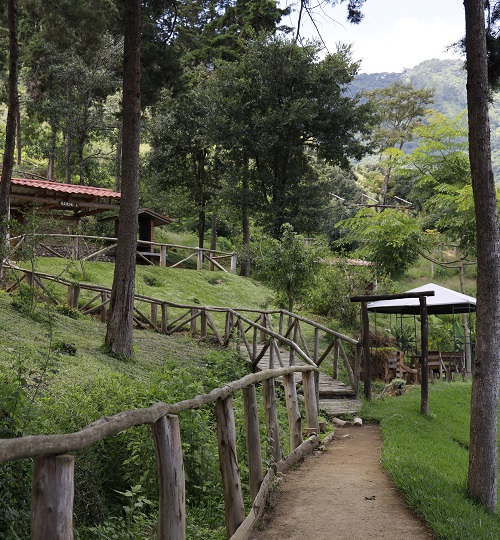 Reserva Forestal Protectora De Manantiales Cordillera Alux